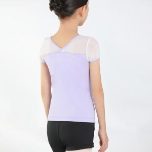 Short Sleeve Top with Mesh